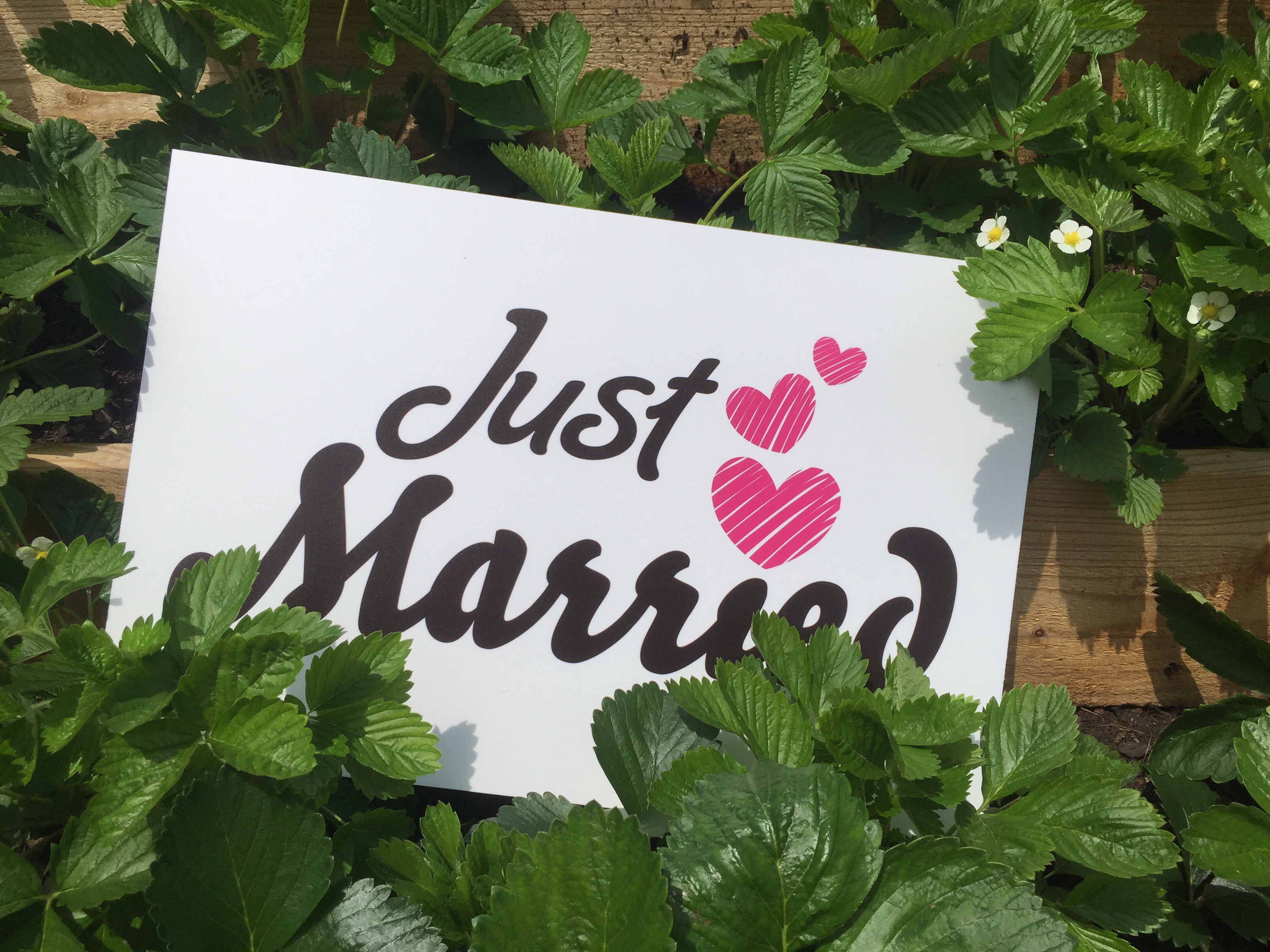 just married schild